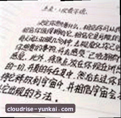 周丽